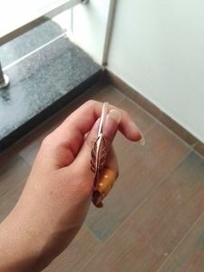Rose Gold Feather Bangle