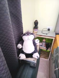 soft toy oggy