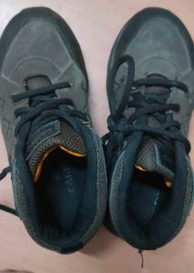 Traxion Camro Shoes For 5-7 Boys
