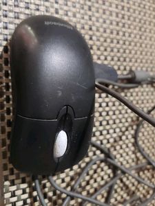 Microsoft Computer Mouse