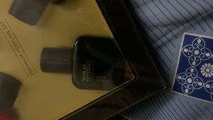 Wild Stone Premium Perfume Set