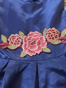 Beautiful Blue Embroidered dress