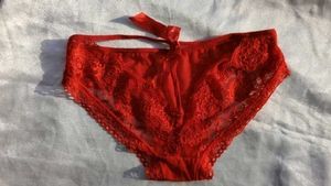 Red Lace Briefs