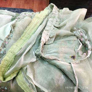 Elegant Pastel Green Embroidered Saree