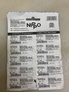 NIPPO ENERGY 2AA BATTRIES