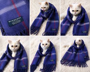 Burberry scarf