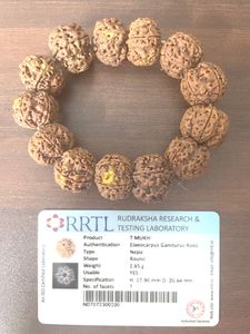 7 Mukhi Rudraksh Bracelet