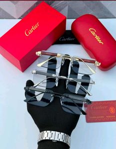 Cartier Rimless Photochromic Sunglasses