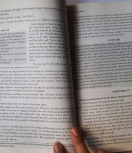 Novel