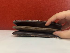 SALE Anekke Brown Star Studs Leather Wallet