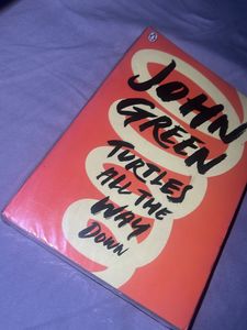 Turtle All The Way Down John Green