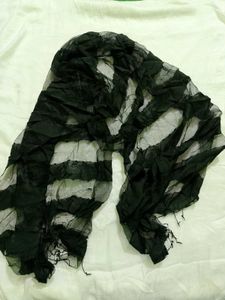 Elegant Black Dupatta with Tassels 🖤