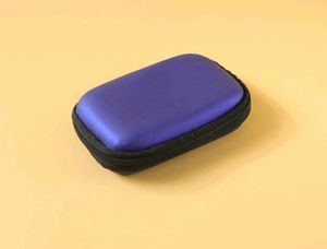 Durable Blue Mini Storage Case