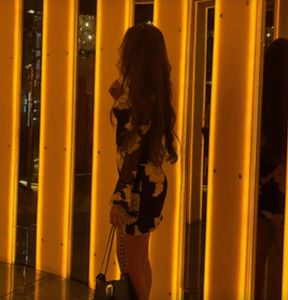 Elegant Black Embroidered bodycon Mesh Dress