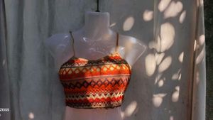 241110. Boho Ethnic Crochet Crop Top