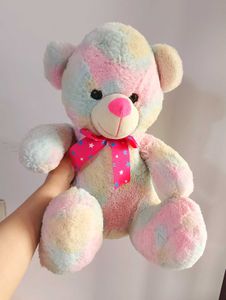 Rainbow Teddy Bear Plush Toy