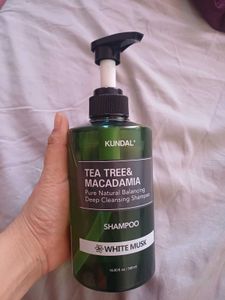 Korean Kundal Tea Tree & Macadamia Shampoo