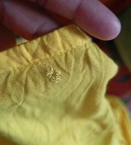 Yellow Anarkali Gown with Dupatta