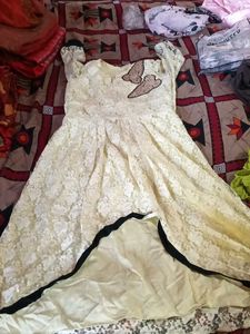 Elegant Lace Ethnic Gown