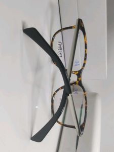 Tortoiseshell Frame Eyeglasses