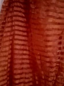 Beautiful Brown Dupatta