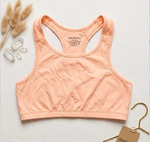 Peach Sports Bra