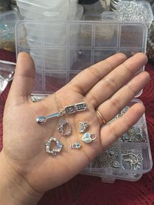 silver charms (full box)