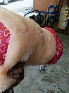 Cute Teddy Bear with Heart Hat