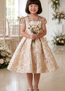 Adorable Girls' Party Dress