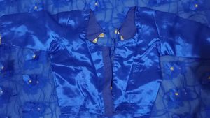 Stunning Royal Blue Butterfly Saree