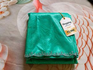 Stunning Sea Green Saree with Embellished Border