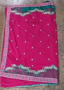 Net Sequins Border Embroidered Saree