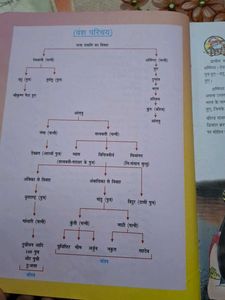 Class 7 Textbooks