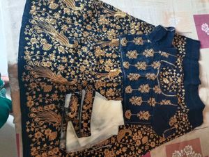 Exquisite Navy Blue Embroidered Lehenga Choli