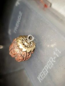 Natural Rudraksha Bead Pendant