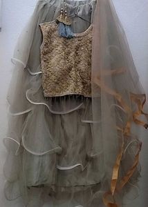 Embroidered Lehenga Choli Set