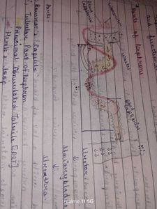 BEST SCIENCE HANDMADE NOTES CLASS 10