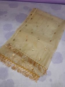 Dress With Ghaghra And Dupatta