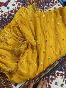 Sparkling Sequin chaniya choli