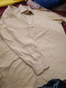Men's Classic Light Yellow Shirt