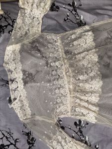 Lace Embroidered Sheer kurti