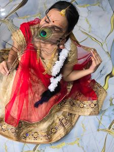 Elegant Lehenga Choli Set
