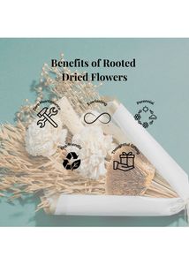 Dried Flower Bouquet