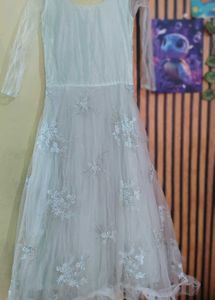 Beautiful Embellished Pastel Gown