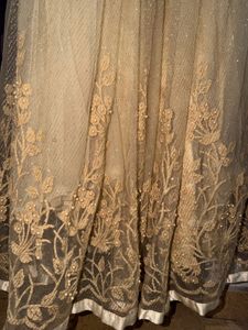 Royal Champagne Gold Embellished Shimmer Net Gown
