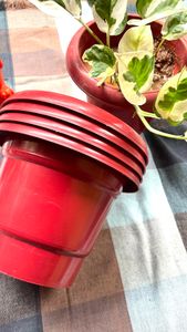 flower pots 7inch