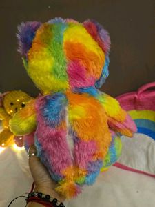 Rainbow Teddy Bear with Carrier