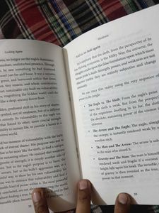 Looking Again Novel