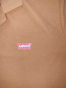 A relaxed Orange Levis T shirt