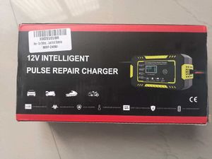 12V Intelligent Pulse Repair Charger